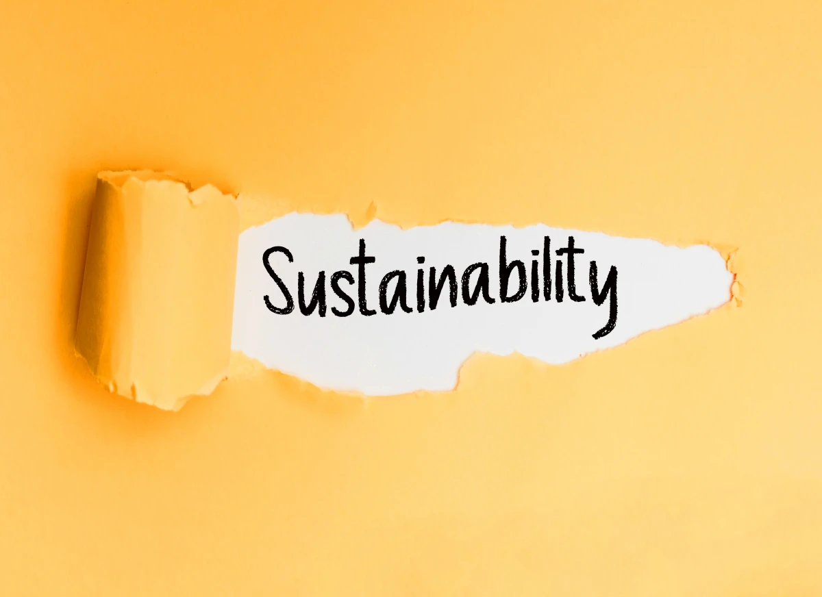 Développement durable : comment rendre son entreprise éco-responsable ?